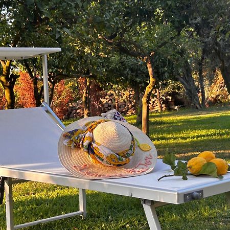مبيت وإفطار Lemon Factor سورينتو المظهر الخارجي الصورة