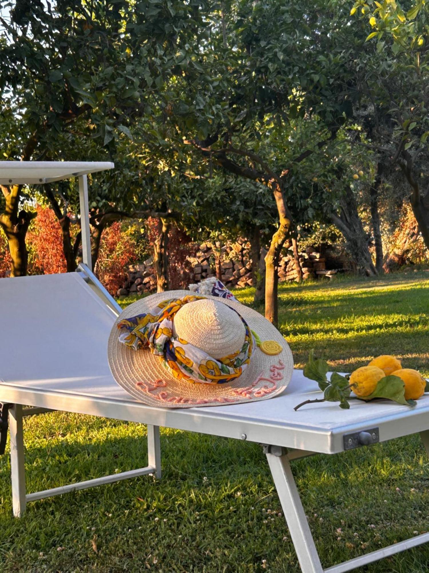 مبيت وإفطار Lemon Factor سورينتو المظهر الخارجي الصورة